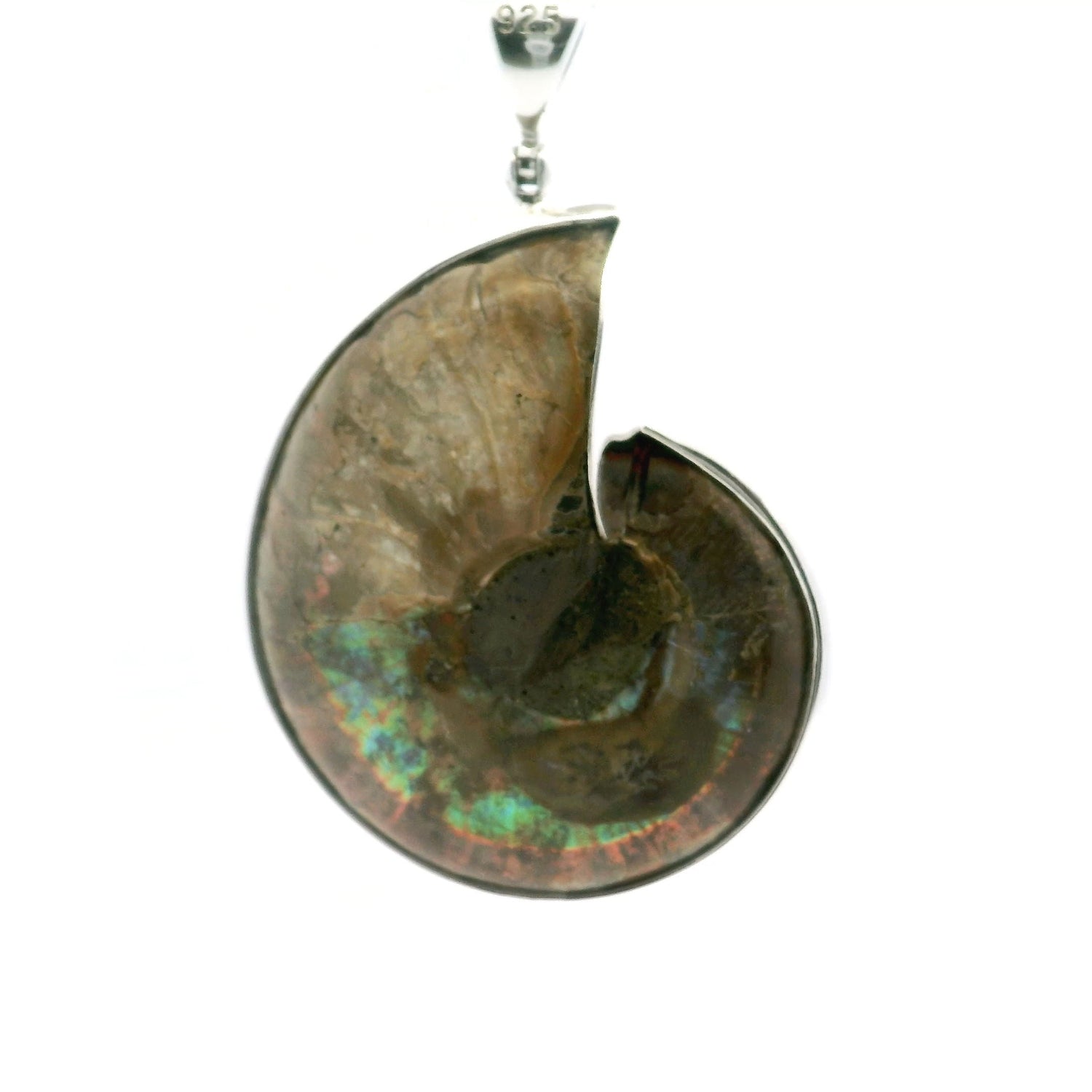 Ammonite Fossil Pendant - Open Ammonite Cross-section Inlaid with Mother of Pearl & Bezel Set in 925 Sterling Silver