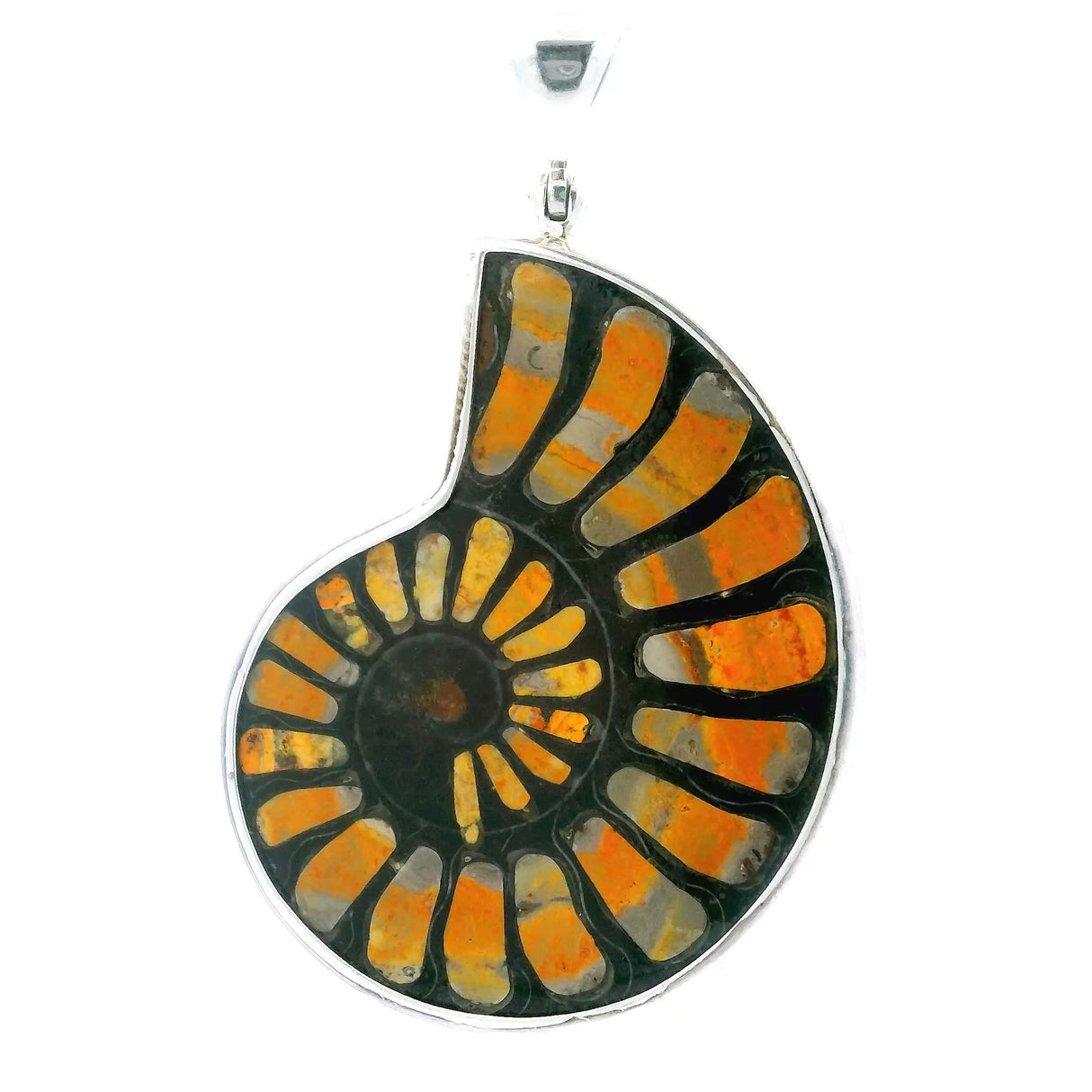 View of Ammonite Fossil Pendant - Open Ammonite Cross-section Inlaid with Orange & Gray Banded Bumblebee Jasper on Dark Background Bezel Set in 925 Sterling Silver