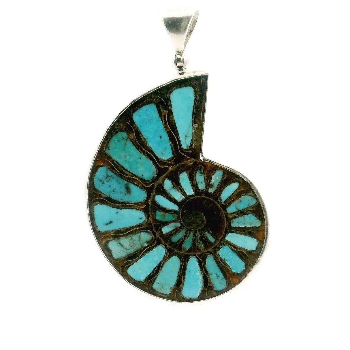 View of Ammonite Fossil Pendant - Open Ammonite Cross-section Inlaid with Robins Egg Blue Arizona Turquoise Bezel Set in 925 Sterling Silver