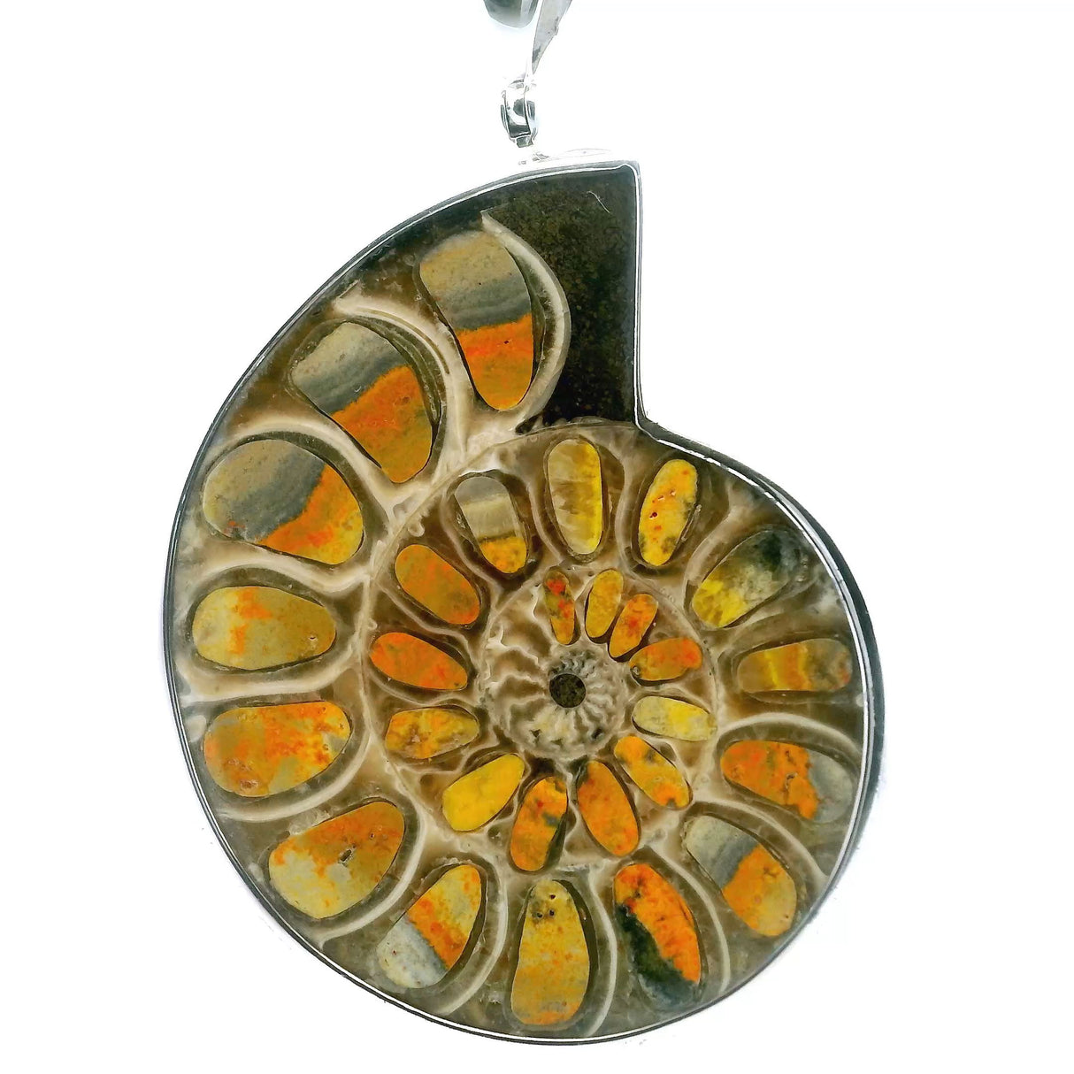 View of Ammonite Fossil Pendant - Open Ammonite Cross-section Inlaid with Orange & Gray Banded Bumblebee Jasper on Light Background Bezel Set in 925 Sterling Silver