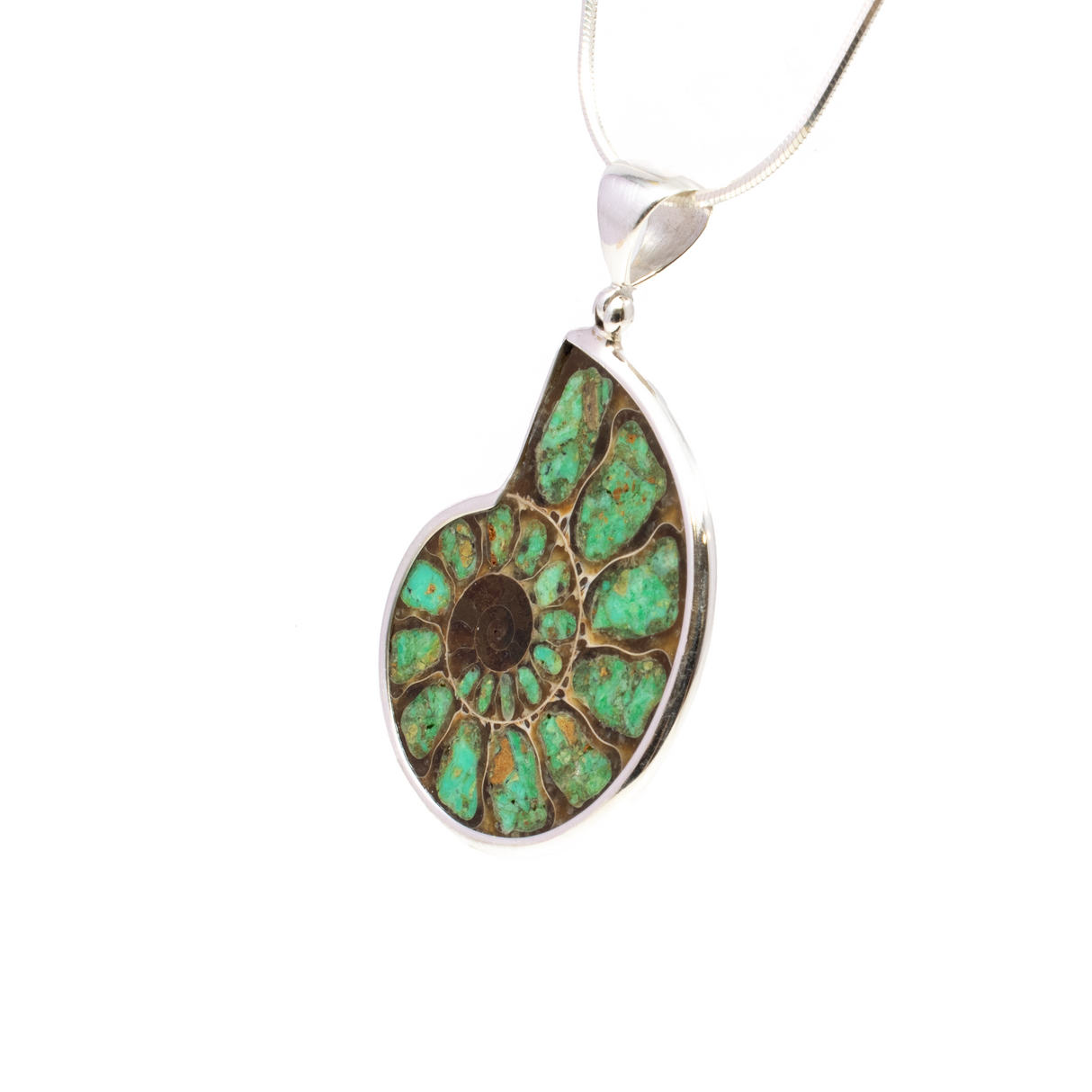 Ammonite Fossil Pendant - Open Ammonite Cross-section Inlaid with Smithsonite Bezel Set in Simple 925 Sterling Silver