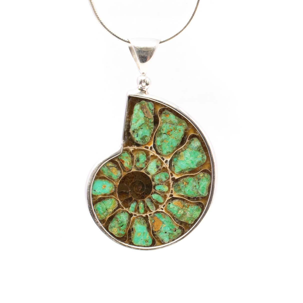 View of Ammonite Fossil Pendant - Open Ammonite Cross-section Inlaid with Smithsonite Bezel Set in Simple 925 Sterling Silver