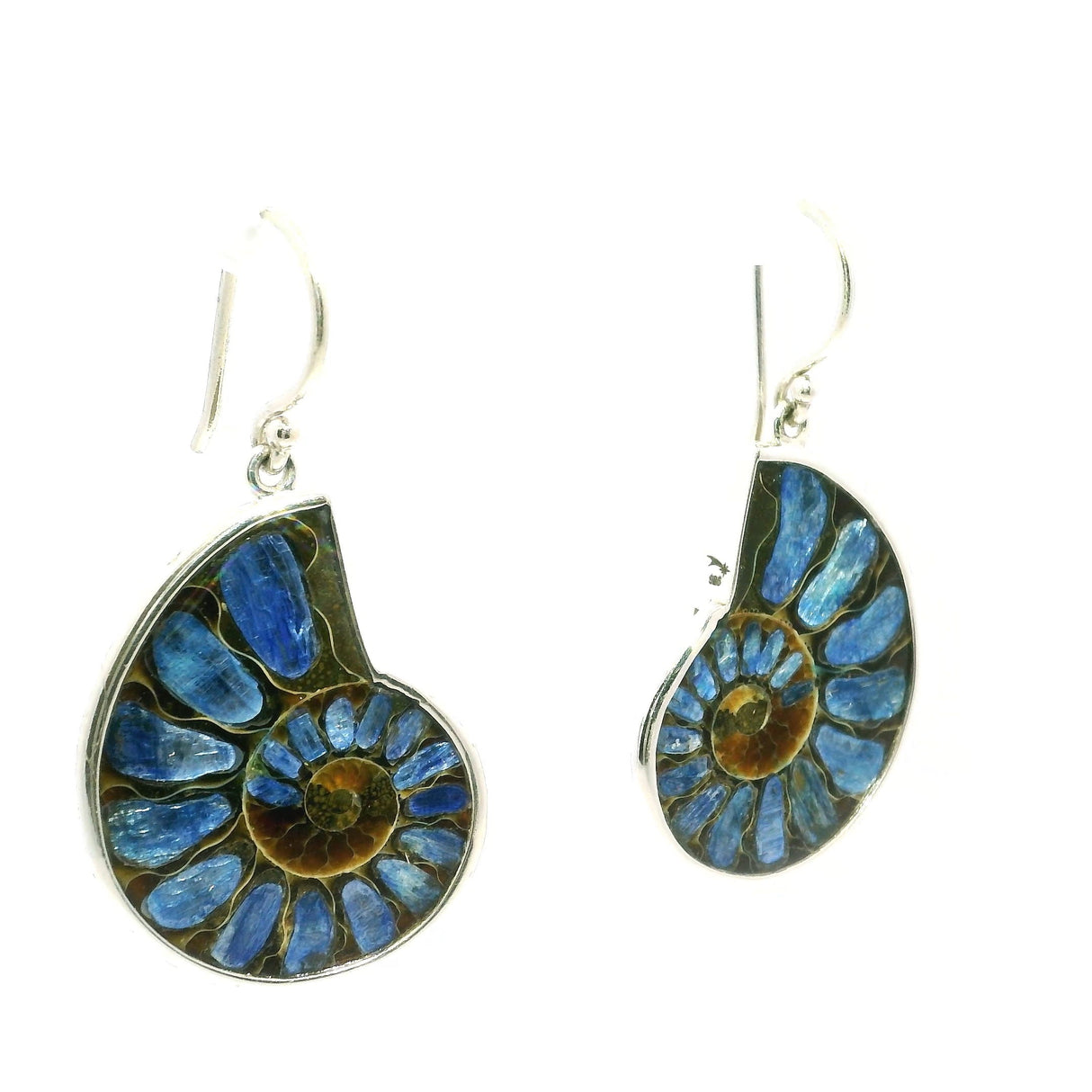 Ammonite Fossil Dangle Earrings - Cross-section Inlaid with Kyanite with Dark Caramel Center Bezel Set in Simple 925 Sterling Silver