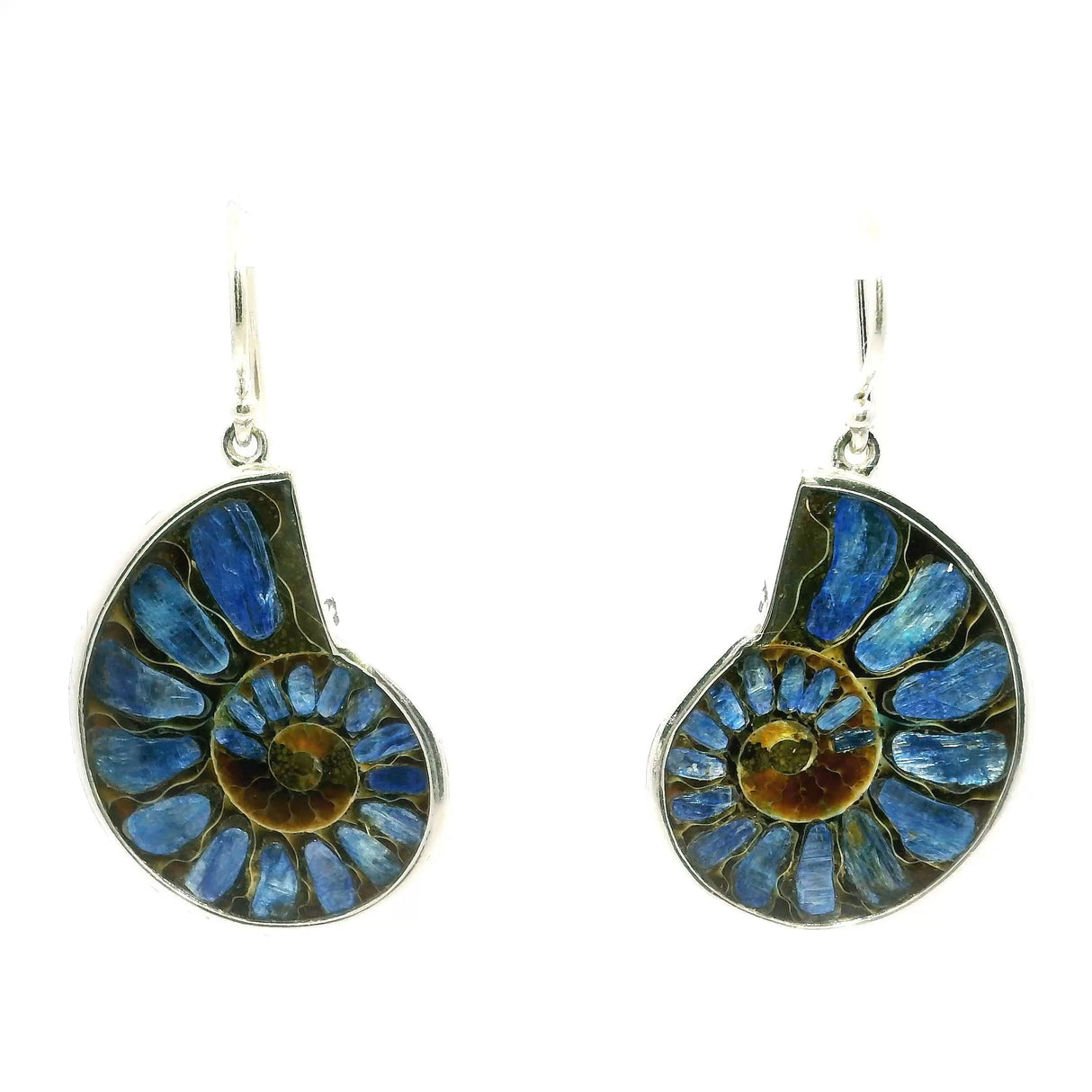 View of Ammonite Fossil Dangle Earrings - Cross-section Inlaid with Kyanite with Dark Caramel Center Bezel Set in Simple 925 Sterling Silver