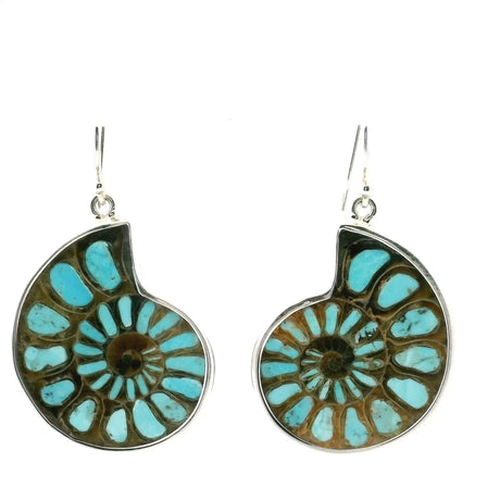 View of Ammonite Fossil Dangle Earrings - Cross-section Inlaid with Robins Egg Blue Arizona Turquoise Bezel Set in 925 Sterling Silver