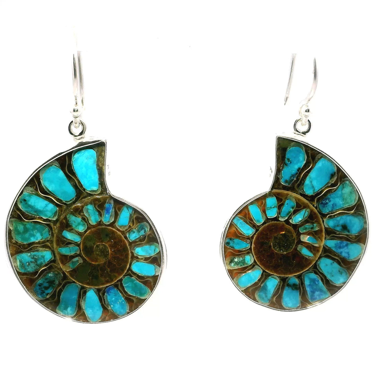 View of Ammonite Fossil Dangle Earrings - Cross-section Inlaid with Shattuckite & Bezel Set in Simple 925 Sterling Silver