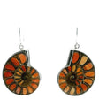 View of Ammonite Fossil Dangle Earrings - Cross-section Inlaid with Spiny Oyster & Bezel Set in 925 Sterling Silver