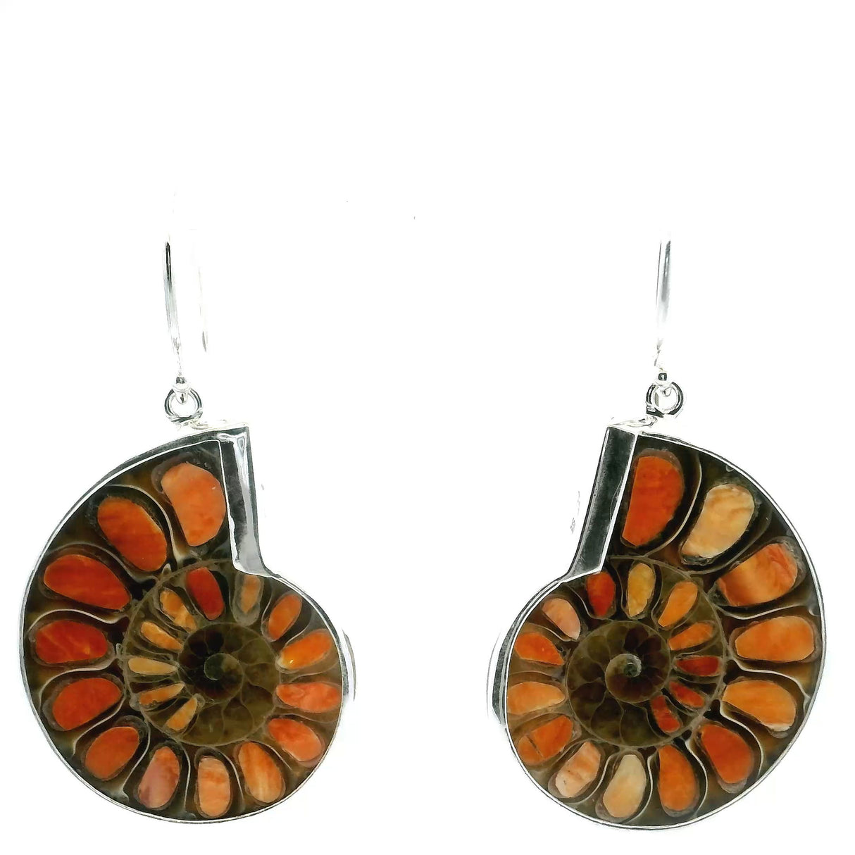 View of Ammonite Fossil Dangle Earrings - Cross-section Inlaid with Spiny Oyster & Bezel Set in 925 Sterling Silver