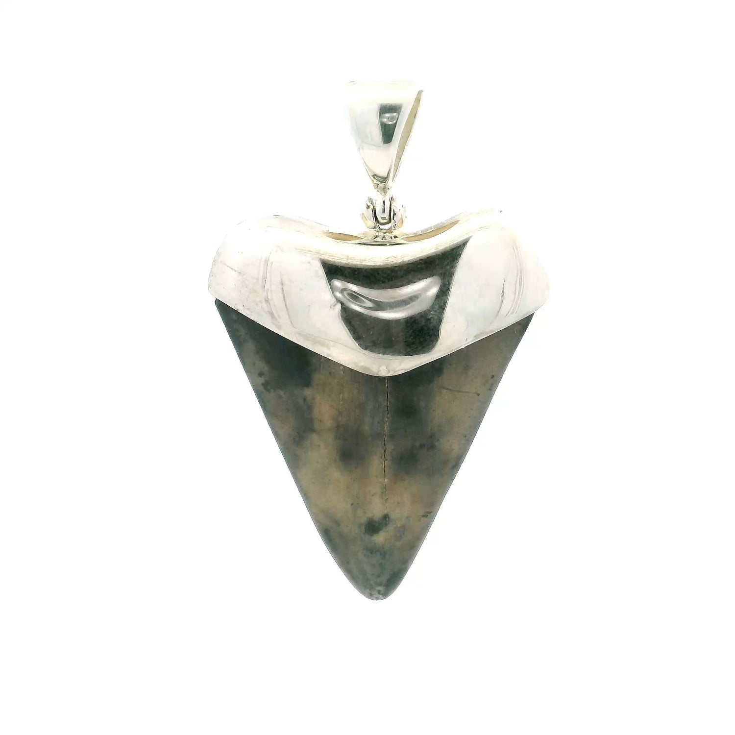 View of Fossilized Shark Tooth Pendant - Brown & Gray Mottled Tooth Lantern Set in 925 Sterling Silver