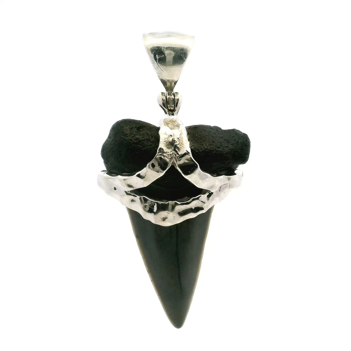 View of Fossilized Shark Tooth Pendant - Gray Tooth with Black Gum Set with Hammered Strap in 925 Sterling Silver