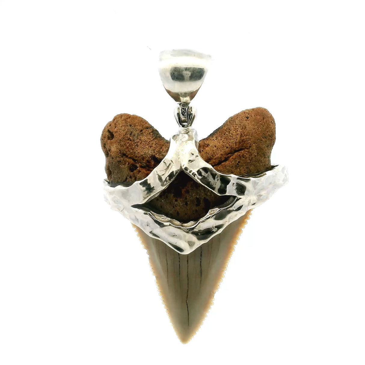 View of Fossilized Shark Tooth Pendant - Tan Tooth with Serrated Edges Set with Hammered Strap in 925 Sterling Silver