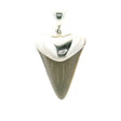 View of Fossilized Shark Tooth Pendant - Tan Tooth Lantern Set in Simple 925 Sterling Silver