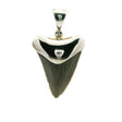 View of Fossilized Shark Tooth Pendant - Tan Tooth Lantern Set in Simple 925 Sterling Silver