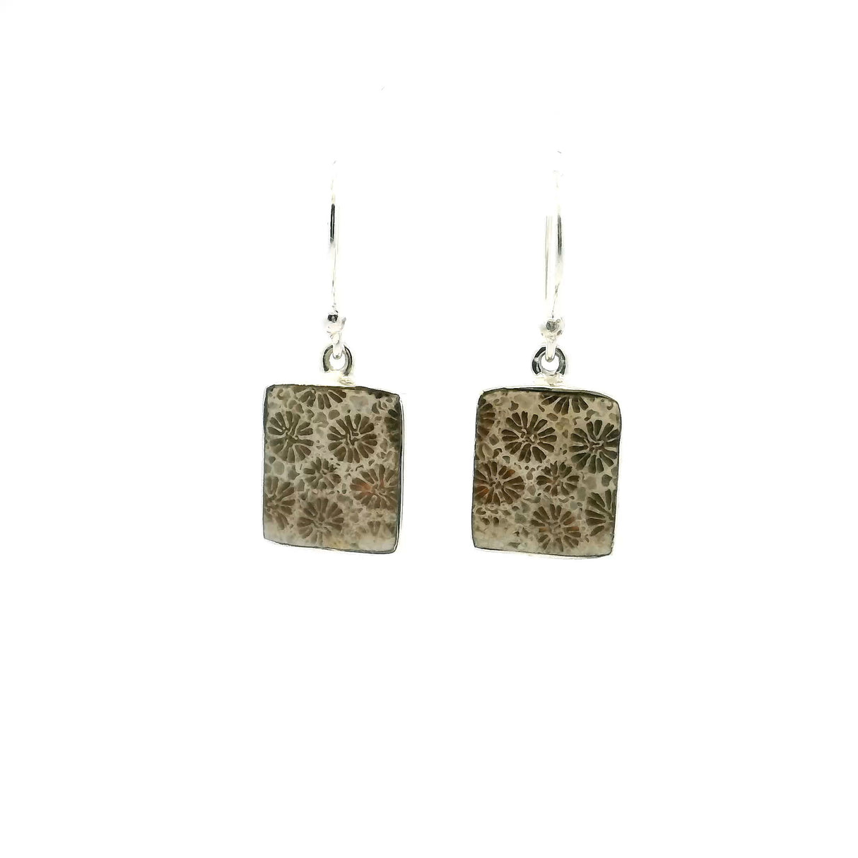 View of Fossilized Coral Dangle Earrings - Square Cabochon with Dark Flowers in Light Background Bezel Set in 925 Sterling Silver