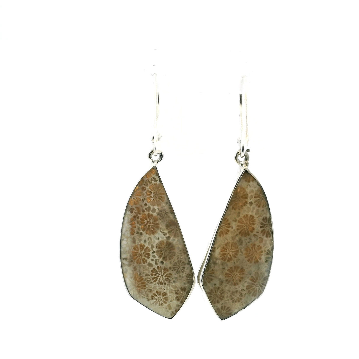 View of Fossilized Coral Dangle Earrings - Tooth Shape Cabochon Bezel Set in 925 Sterling Silver