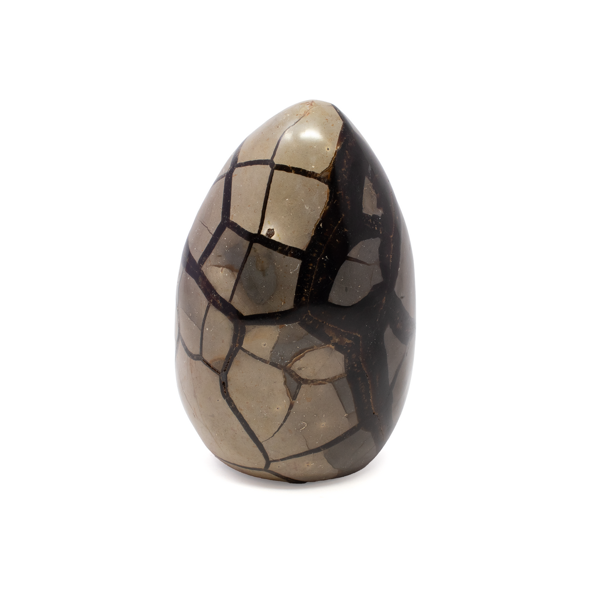 Septarian Druze Geode Freeform Egg with Cut Base from Madagascar