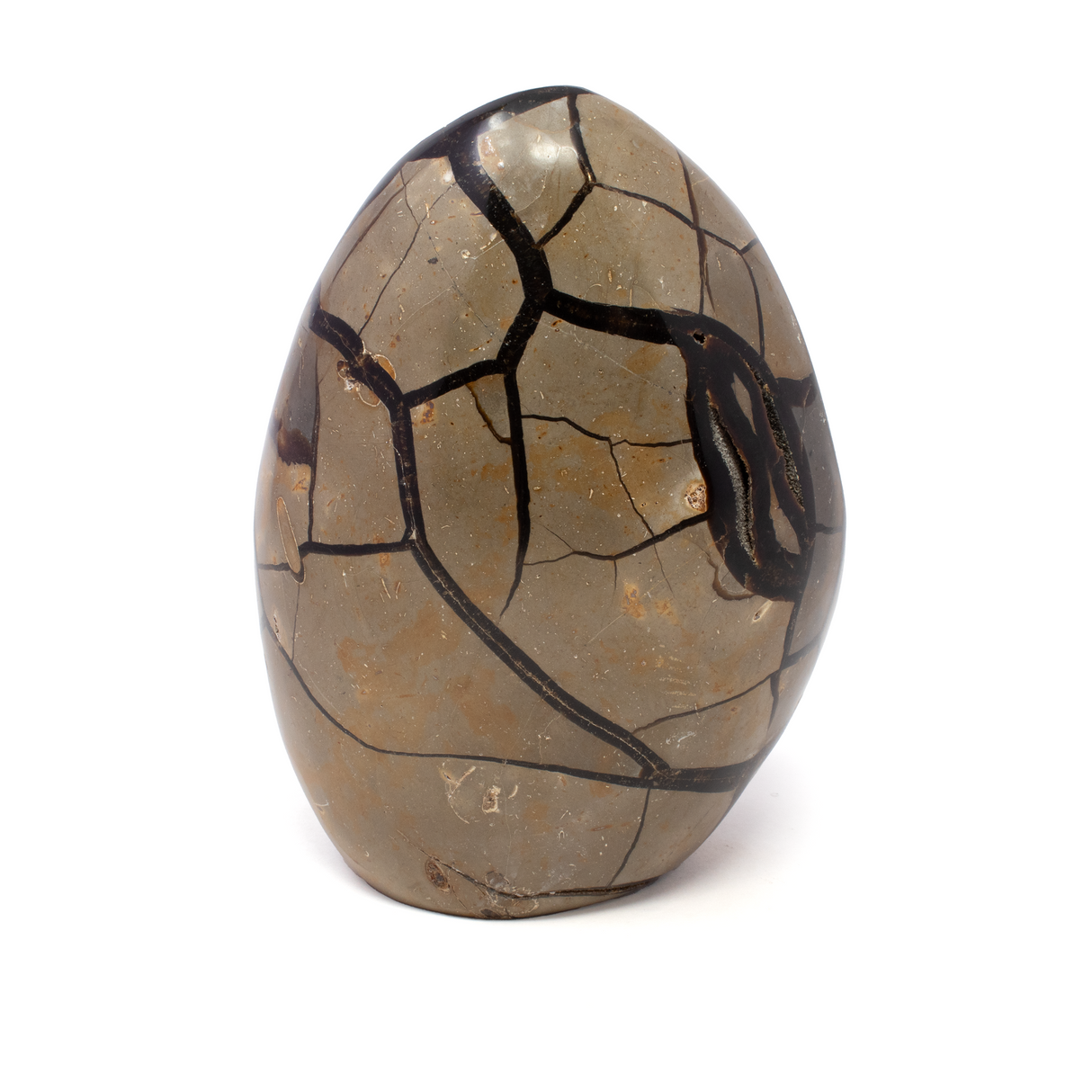 Septarian Druze Geode Freeform Egg with Cut Base from Madagascar - Calcite Crystal Inclusions