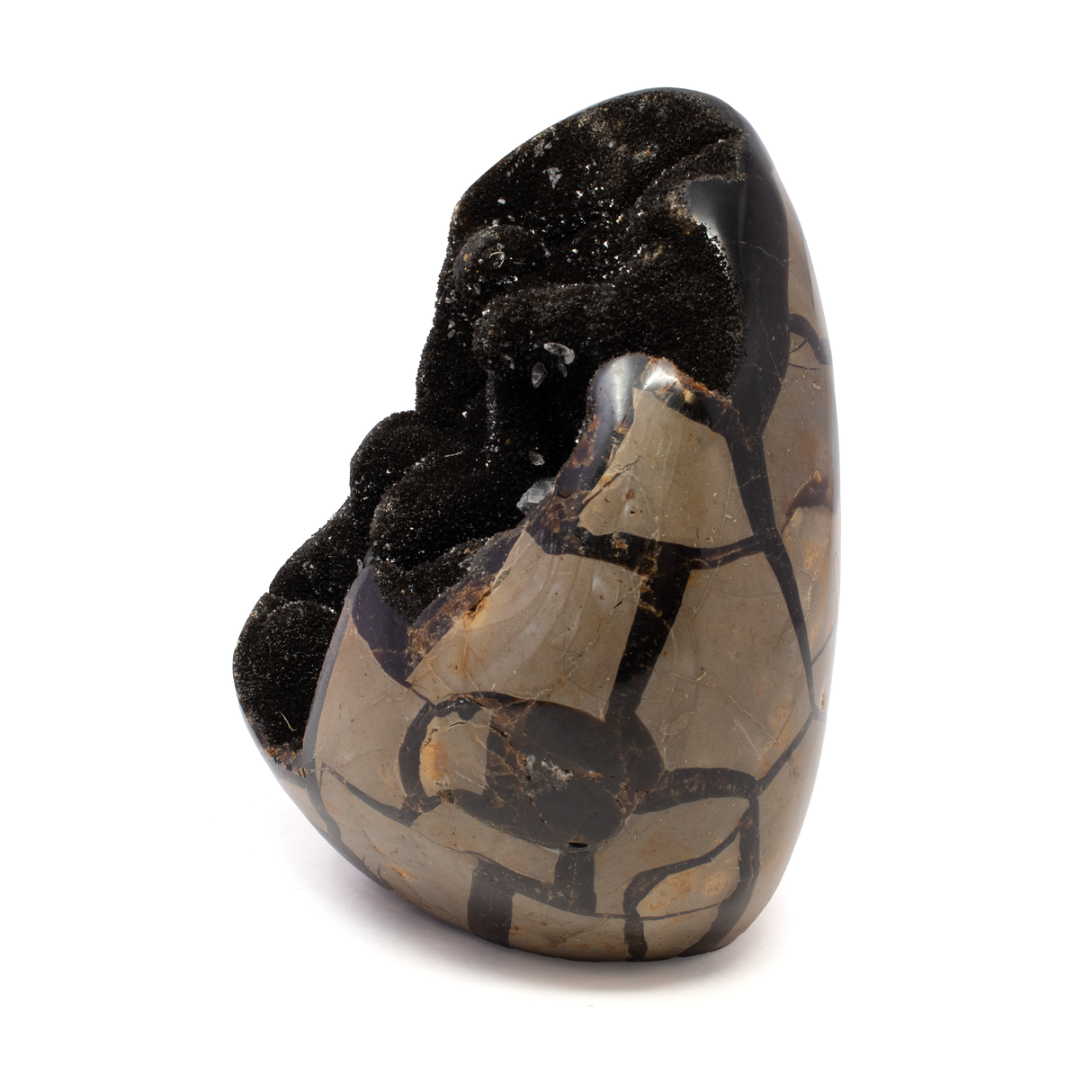 Septarian Druze Geode Freeform Egg with Cut Base from Madagascar - Calcite Crystal Inclusions