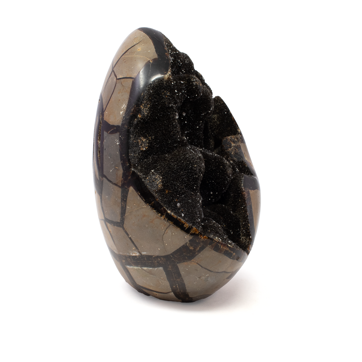 Septarian Druze Geode Freeform Egg with Cut Base from Madagascar - Calcite Crystal Inclusions