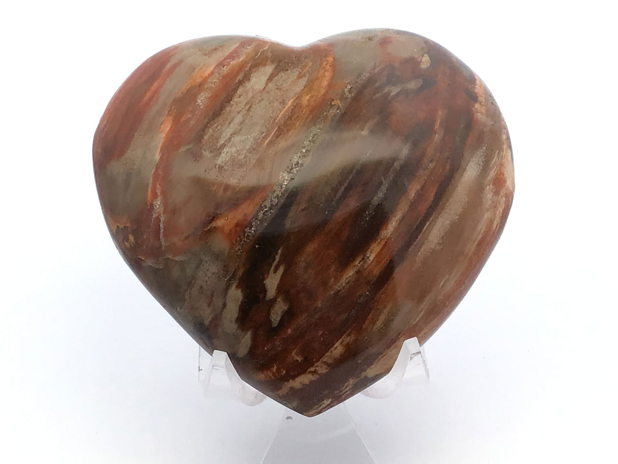 View of Madagascar Petrified Wood Heart with Lucite Stand