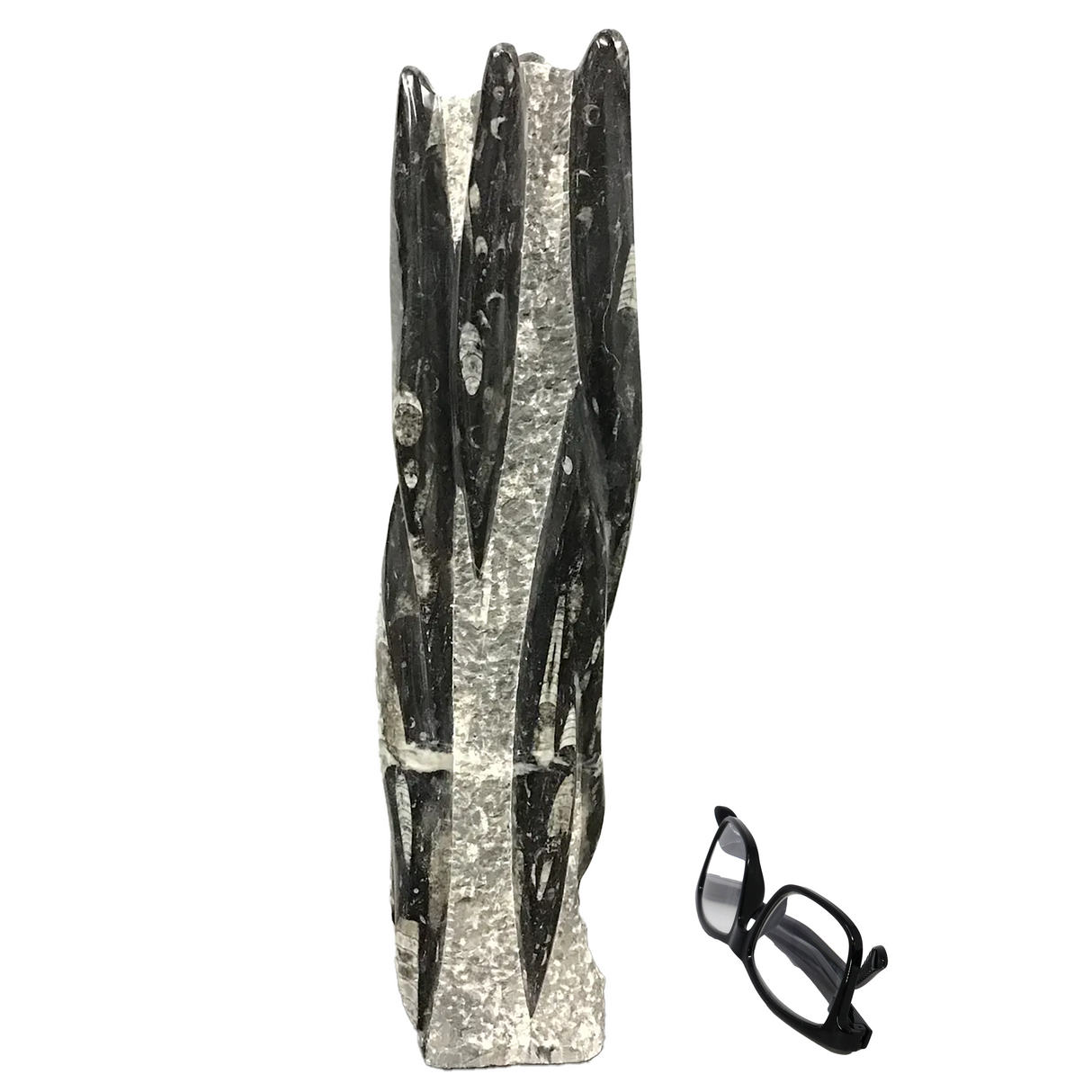 Orthoceras Fossil Sculpture from Morocco