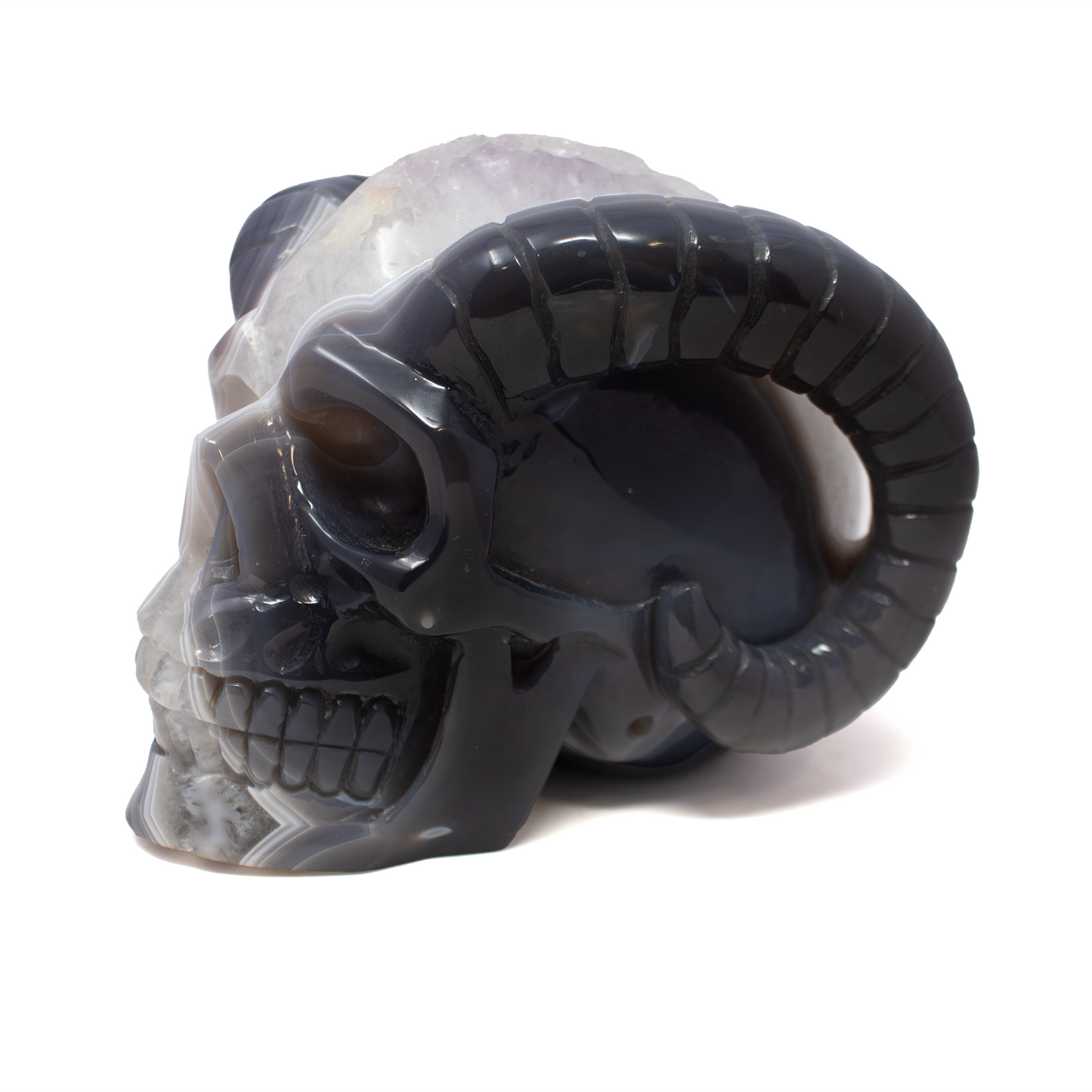 Agate Druze Geode Skull Carving with Horns