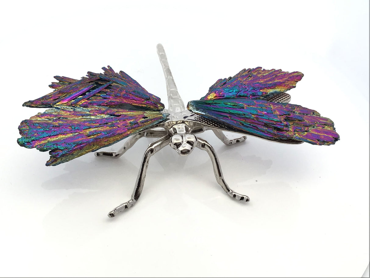 View of Rainbow Titanium Coated Kyanite Dragonfly with Metal Body - Medium Large