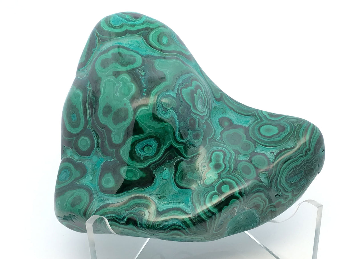View of Chrysocolla Malachite Polished Freeform from Congo with Lucite Stand