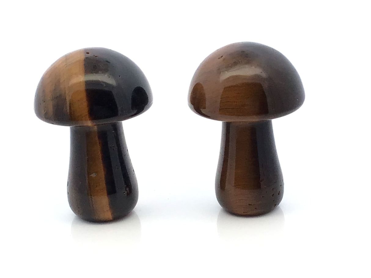 View of Tiger Eye Mushroom Carving