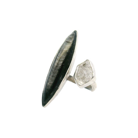 View of Orthoceras Fossil Ring - Thin Sharp Oval with Herkimer Diamond Nugget Bezel Set on Open Adjustable Band in 925 Sterling Silver szAdj