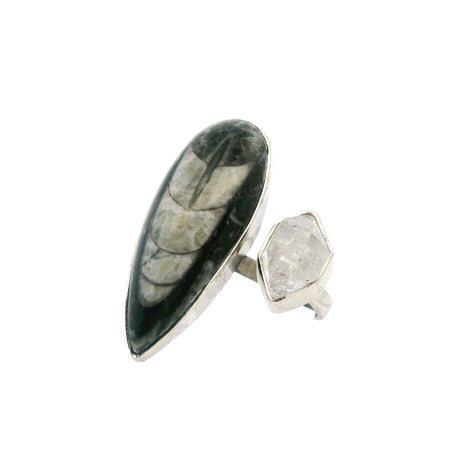 View of Orthoceras Fossil Ring - Pear Cabochon with Herkimer Diamond Nugget Bezel Set on Open Adjustable Band in 925 Sterling Sijlver szAdj