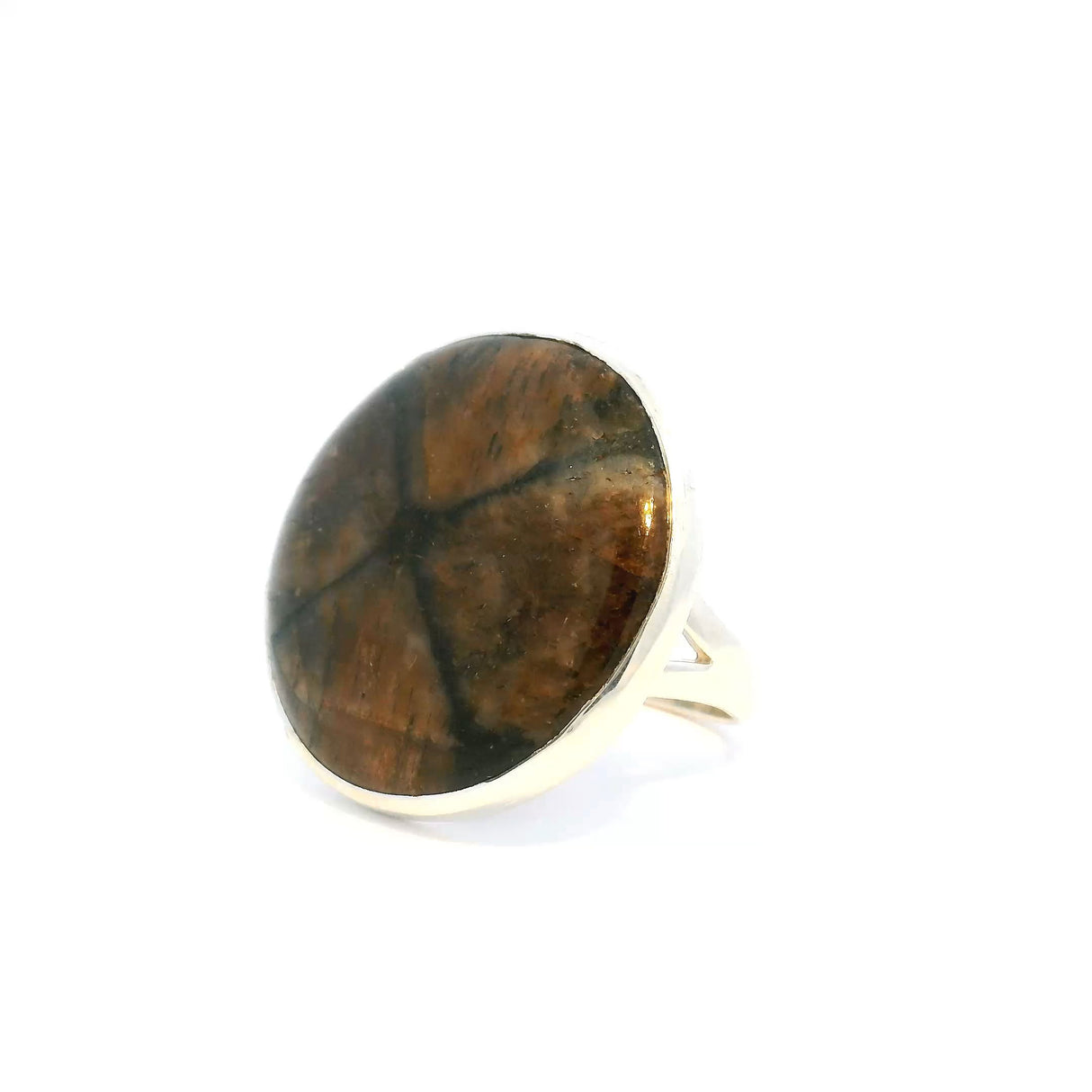 View of Chiastolite Ring - Large Round Cabochon Black X Bezel Set in Double Band in Simple 925 Sterling Silver sz12