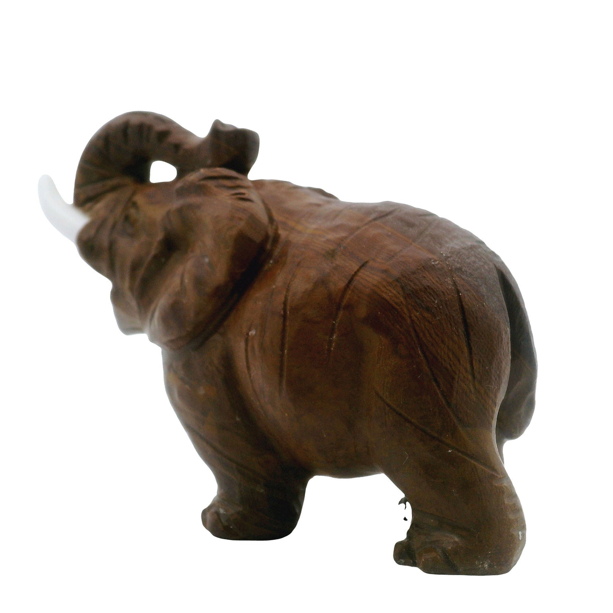 Madagascar Petrified Wood Elephant Carving with White Tusks