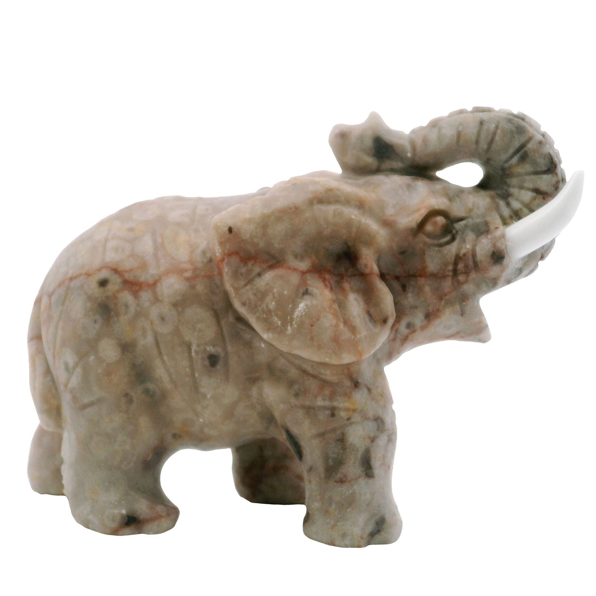 Turritella Agate Elephant Carving with White Tusks
