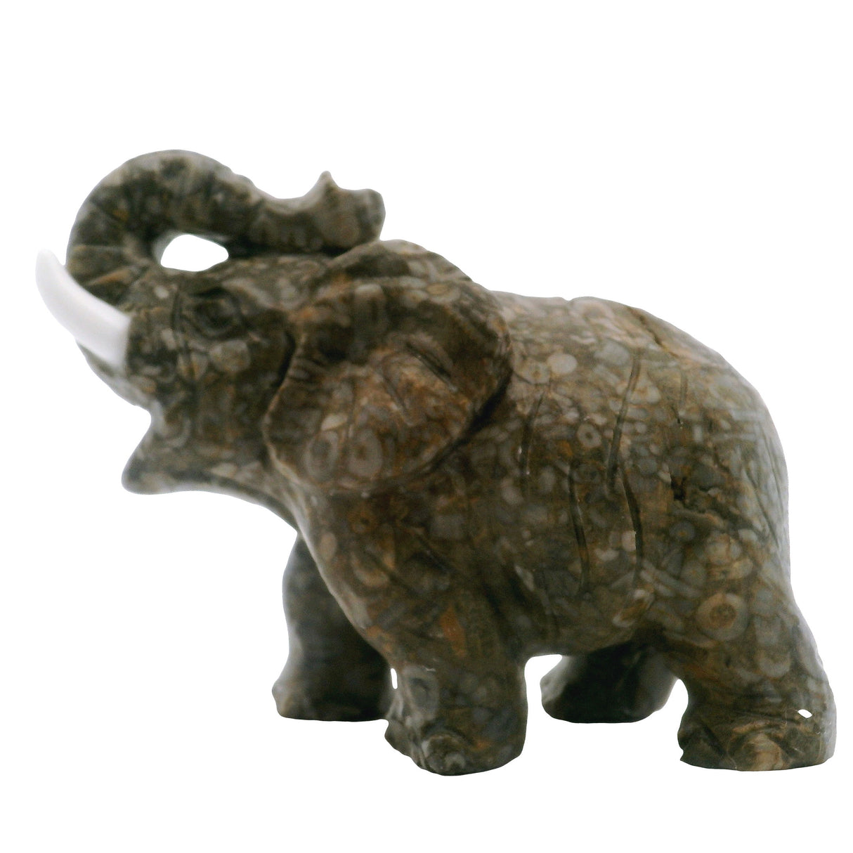 View of Turritella Agate Elephant Carving with White Tusks