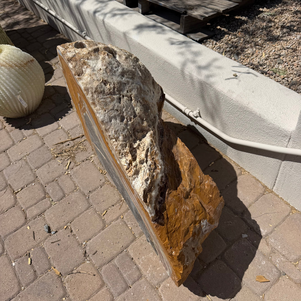Angled side view showing the crusty fossil rind and polished golden edge of the onyx fountain