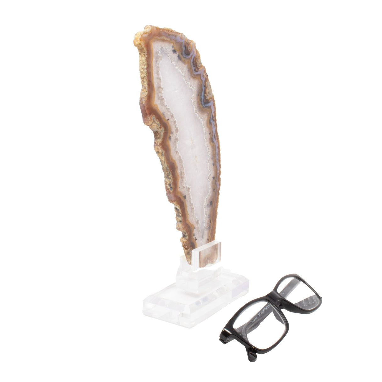 Plume Agate Slice On Acrylic Screw Stand - Periwinkle Band with Quartz Center & Carnelian Edging