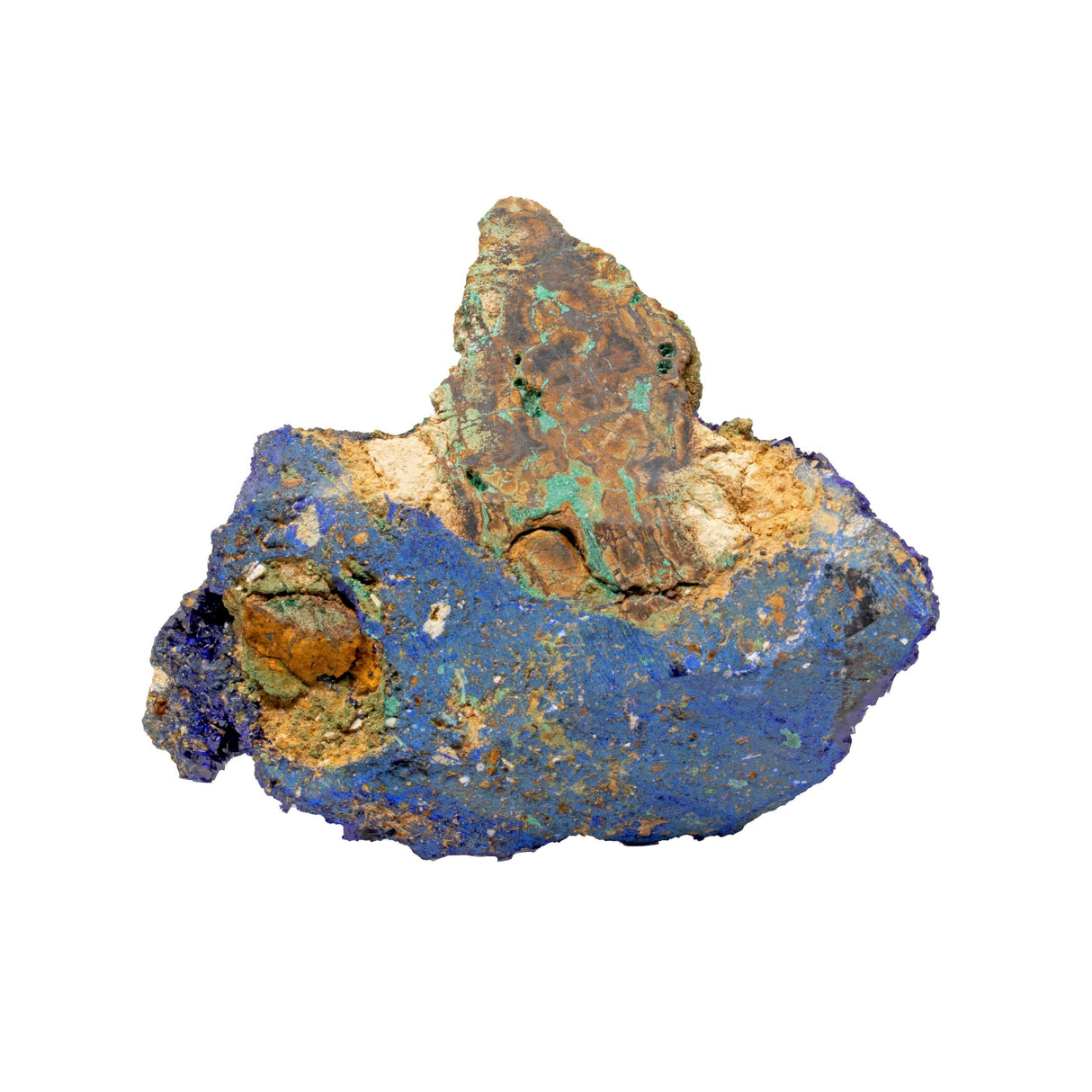 Azurite Specimen on a Lucite Stand - Large Patch of Midnight Blue Crystals