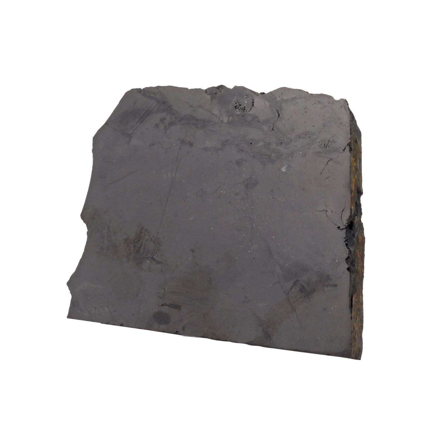 Shungite Slice with Polished Side