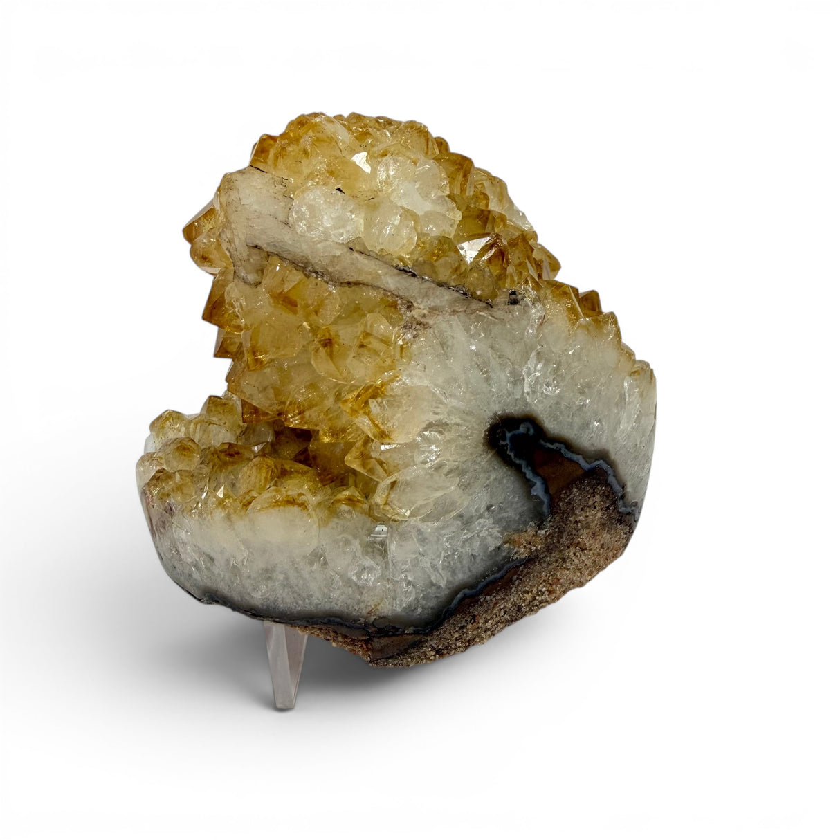 Polished Natural Citrine Crystal Stalactite Knobs on Lucite Stand