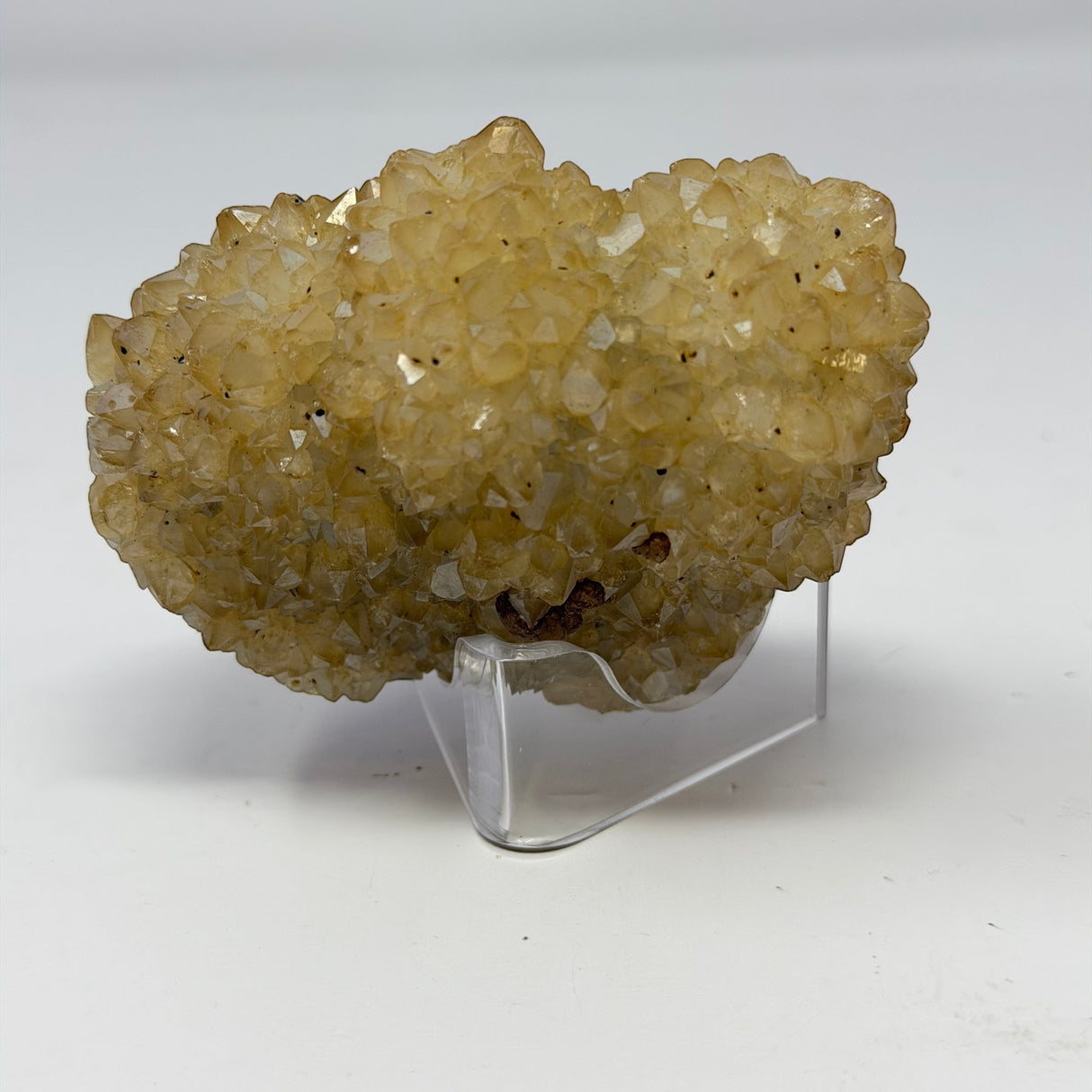 Polished Natural Citrine Crystal Stalactite Knobs on Lucite Stand