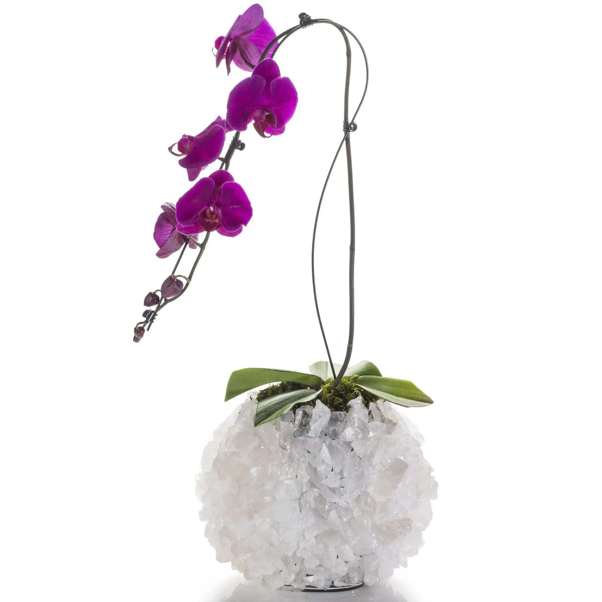 Clear Quartz Gemstone Vase - Oval