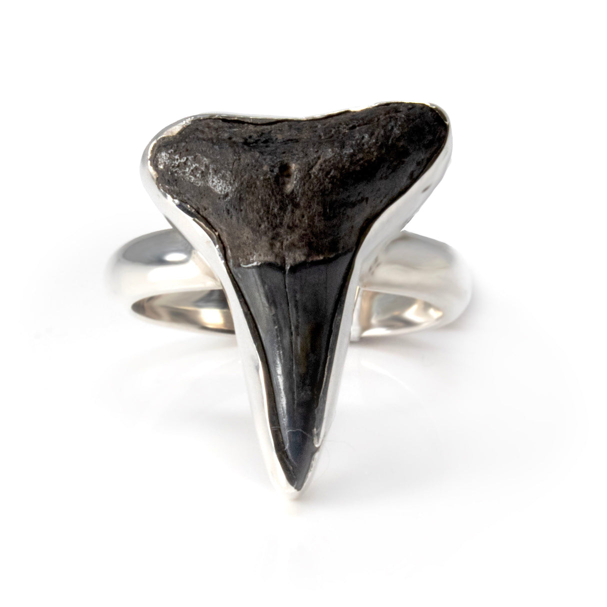 Megalodon Shark Tooth Ring - Extra Small
