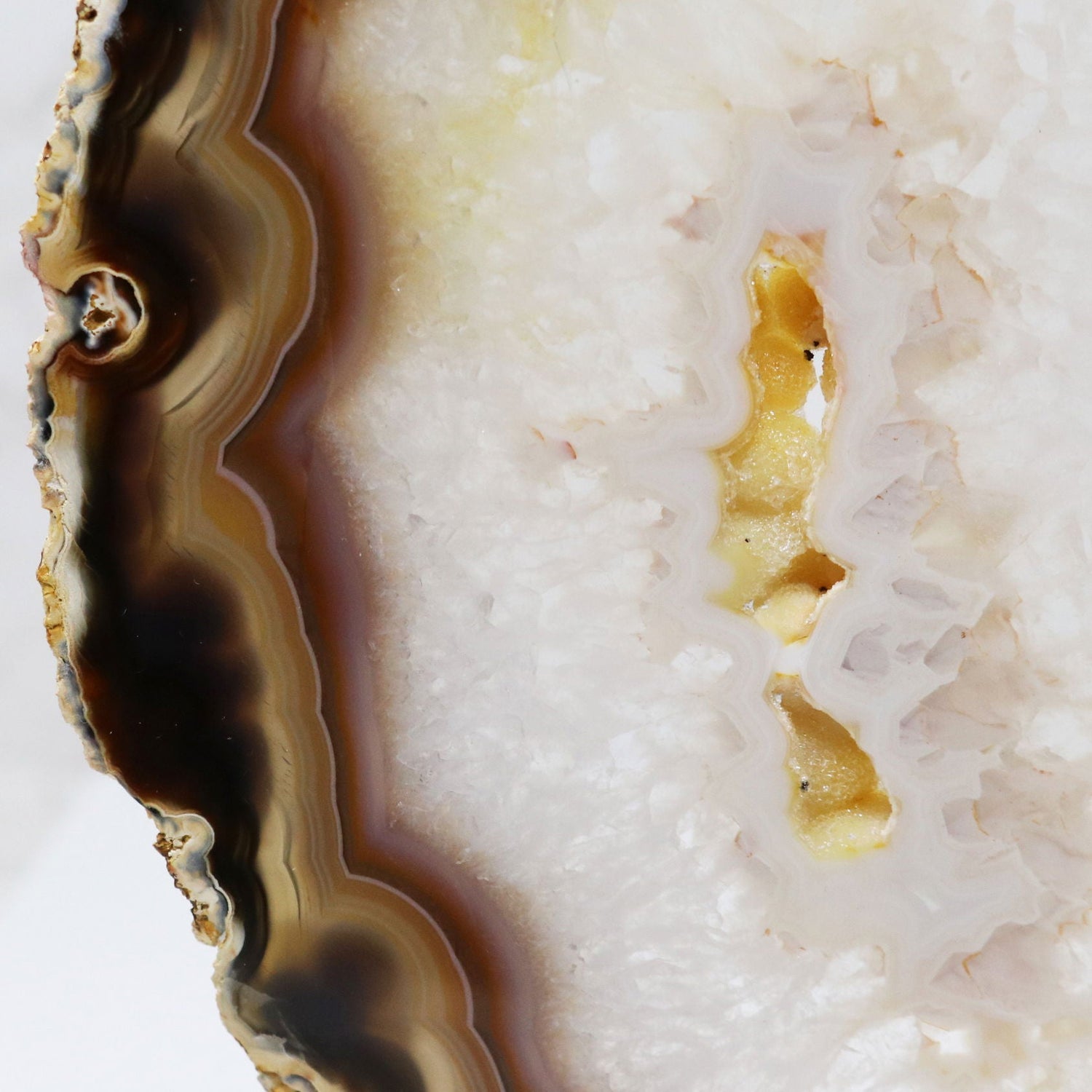 Agate Druze Slice on Screw Stand - Woody Exterior with Unique Shape & Heavy Carnelian Bands with Citrine Druze Center & Double-Sided Polish