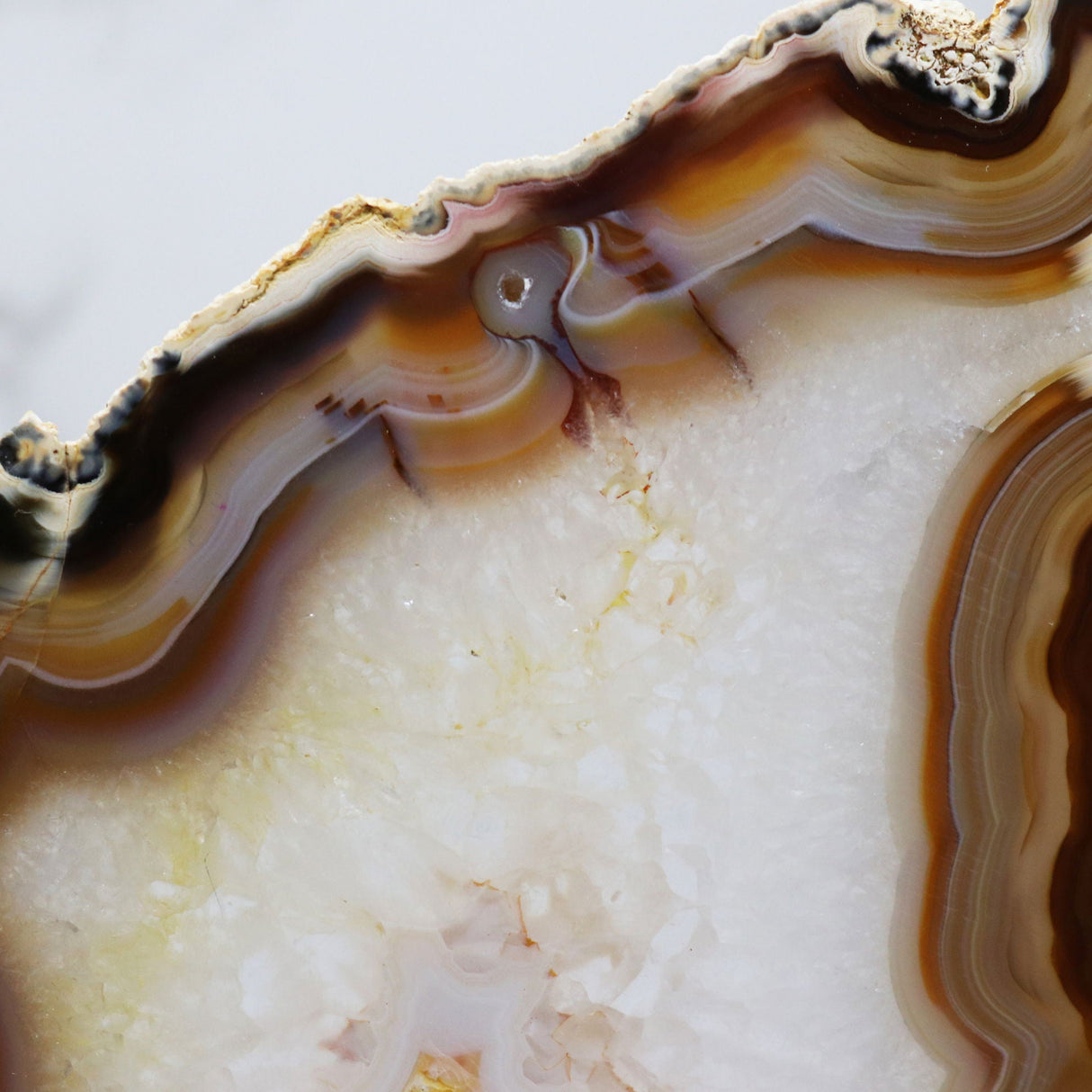 Agate Druze Slice on Screw Stand - Woody Exterior with Unique Shape & Heavy Carnelian Bands with Citrine Druze Center & Double-Sided Polish