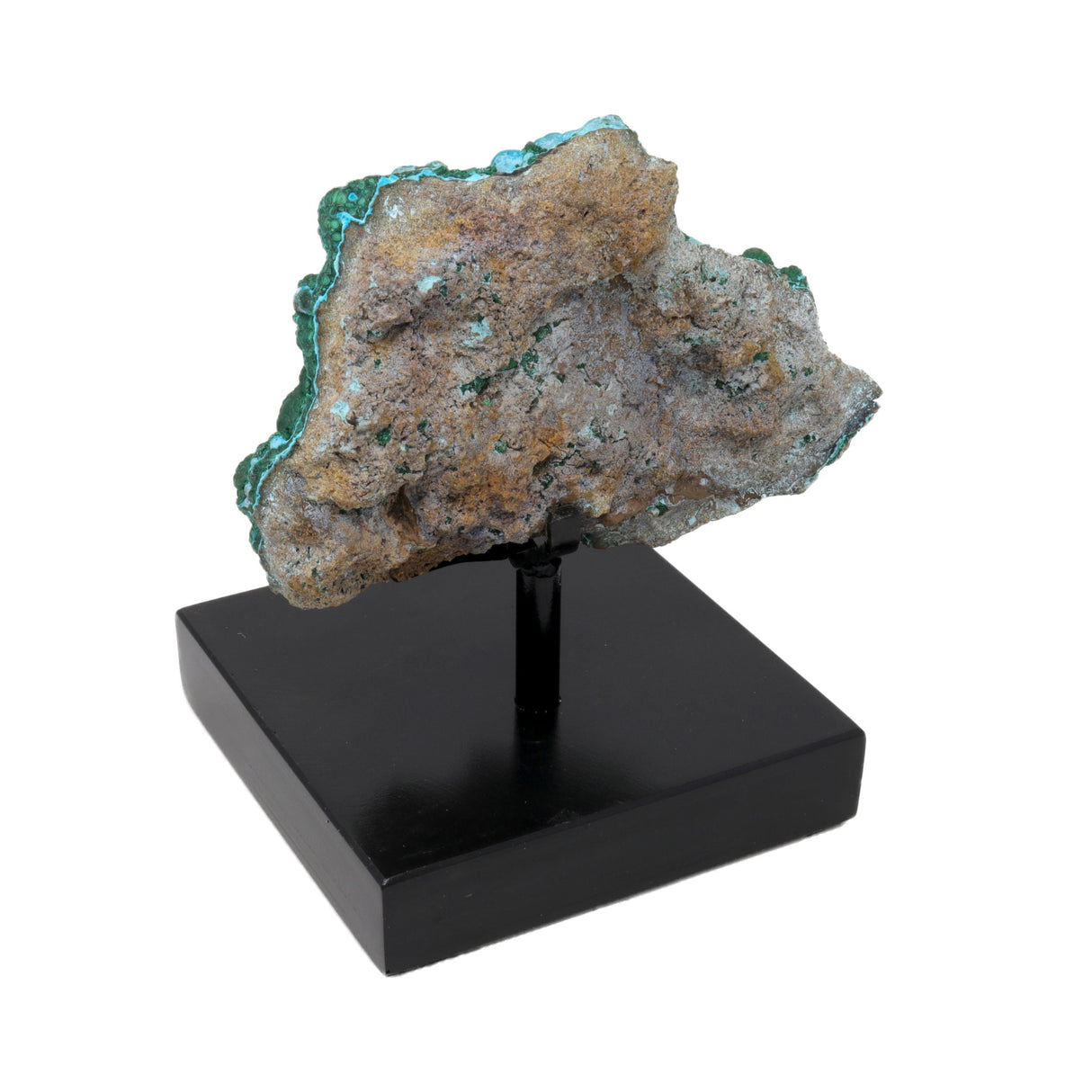 Malachite & Chrysocolla on Custom Stand with Botryoidal Minis