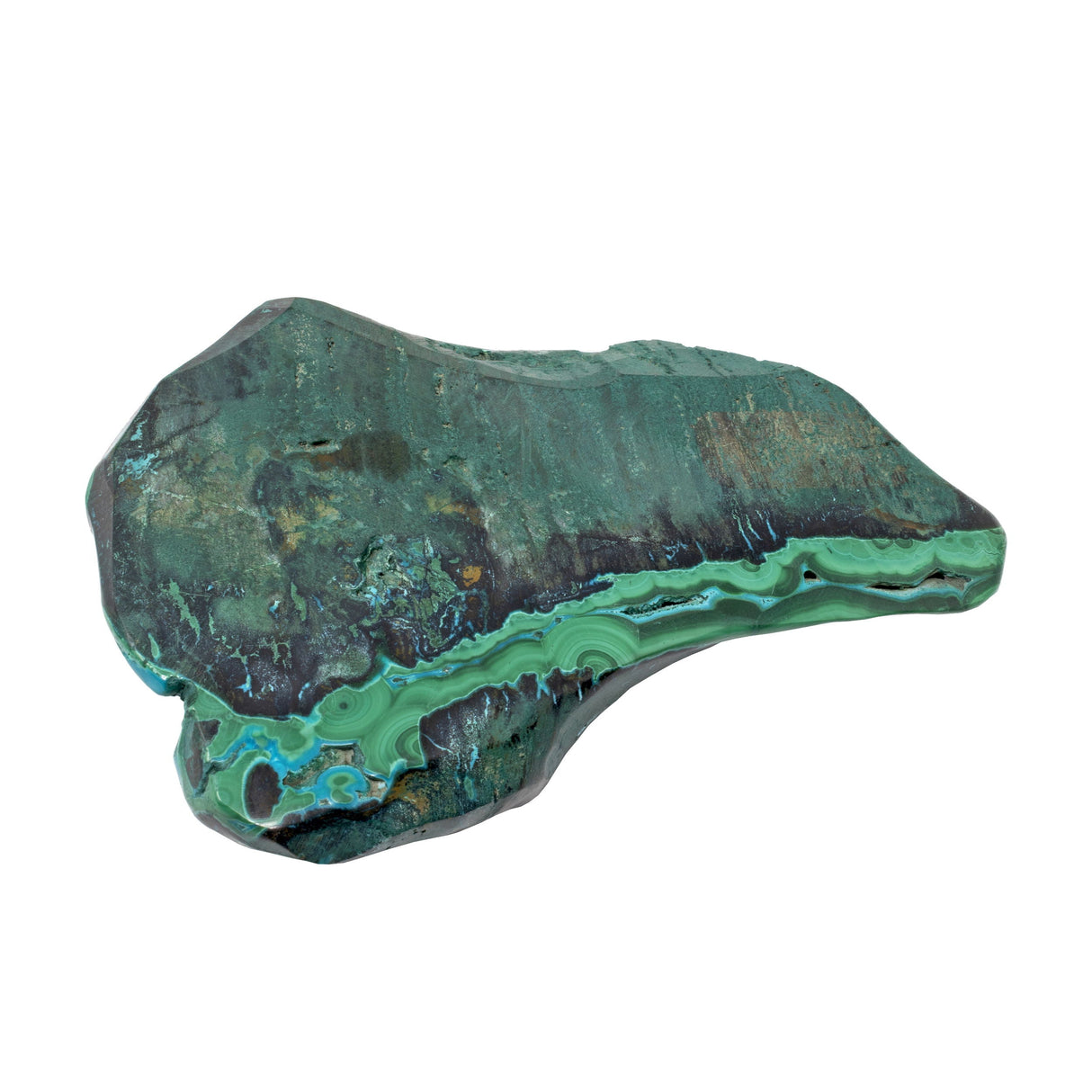 Chrysocolla Malachite Freeform Polished - Flat Back on Lucite Stand