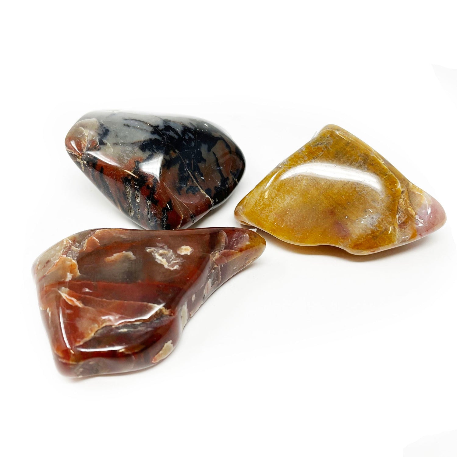 Arizona Petrified Wood Tumbled (Singles)