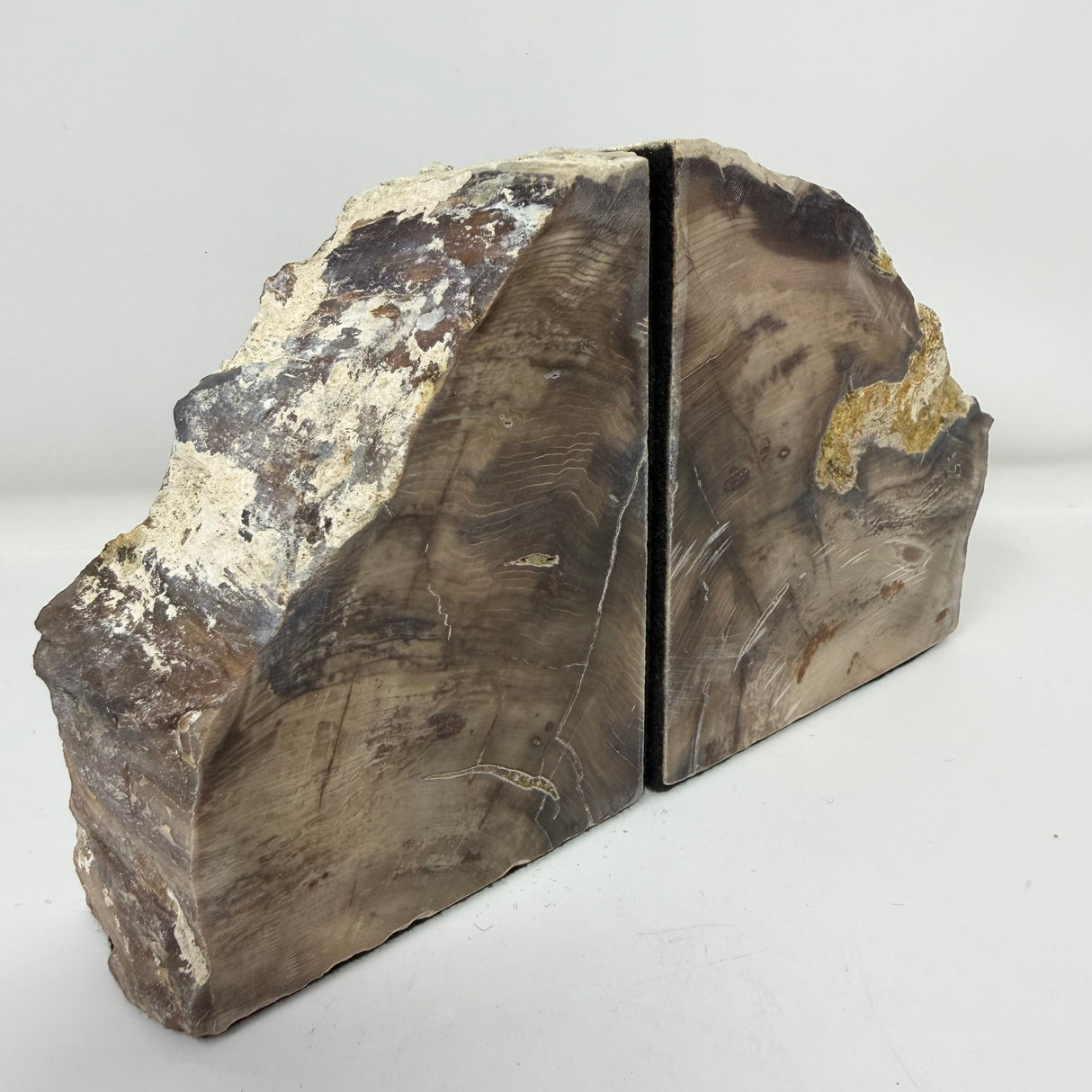 Saddle Mountain Sequoia Petrified Wood Bookends - Small