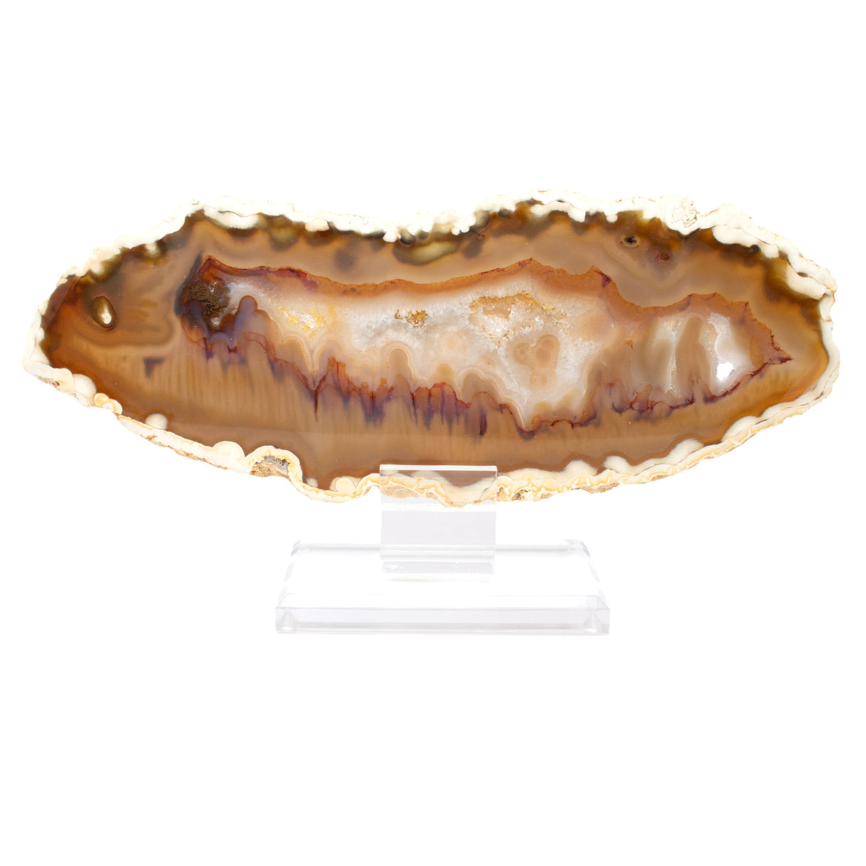 Carnelian Agate Slice on Acrylic Screw Stand with Carmel White Edges